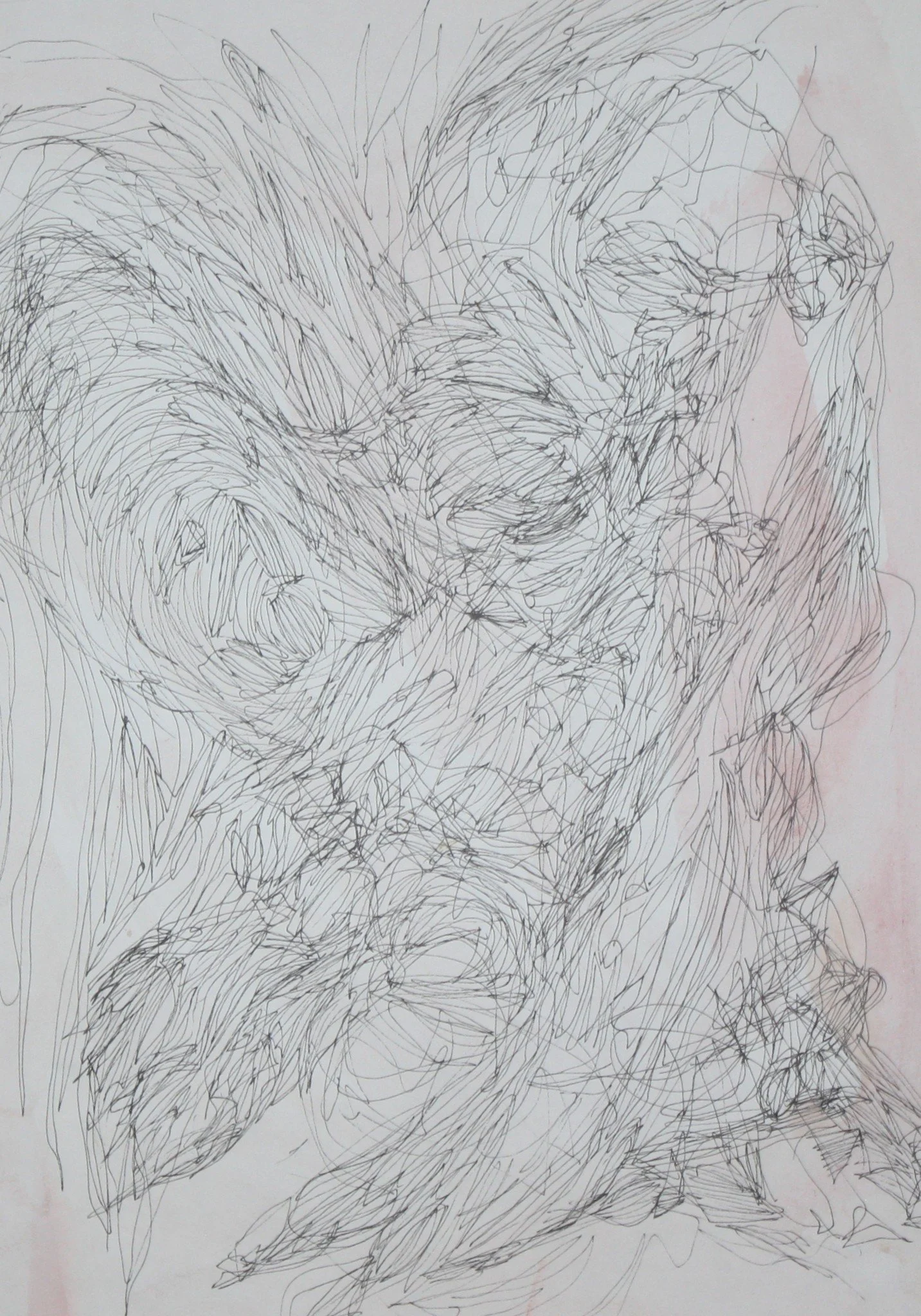 Storm - Line Drawing