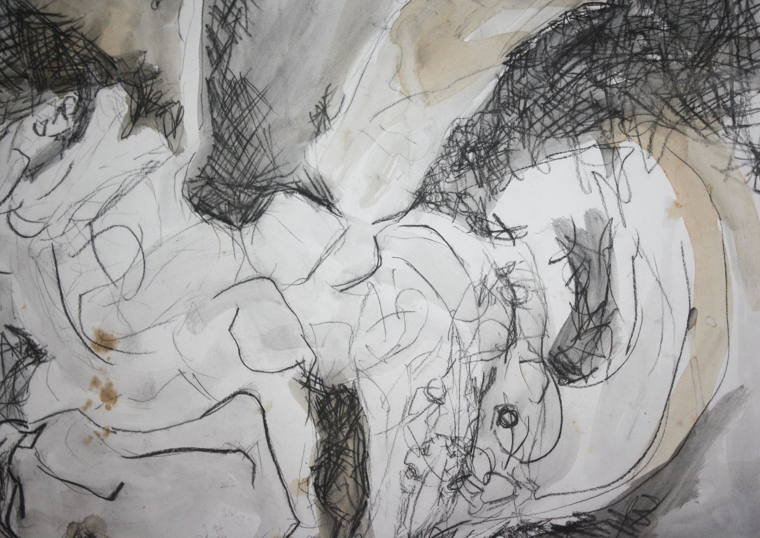 Horses - Abstracted Drawing of Horses