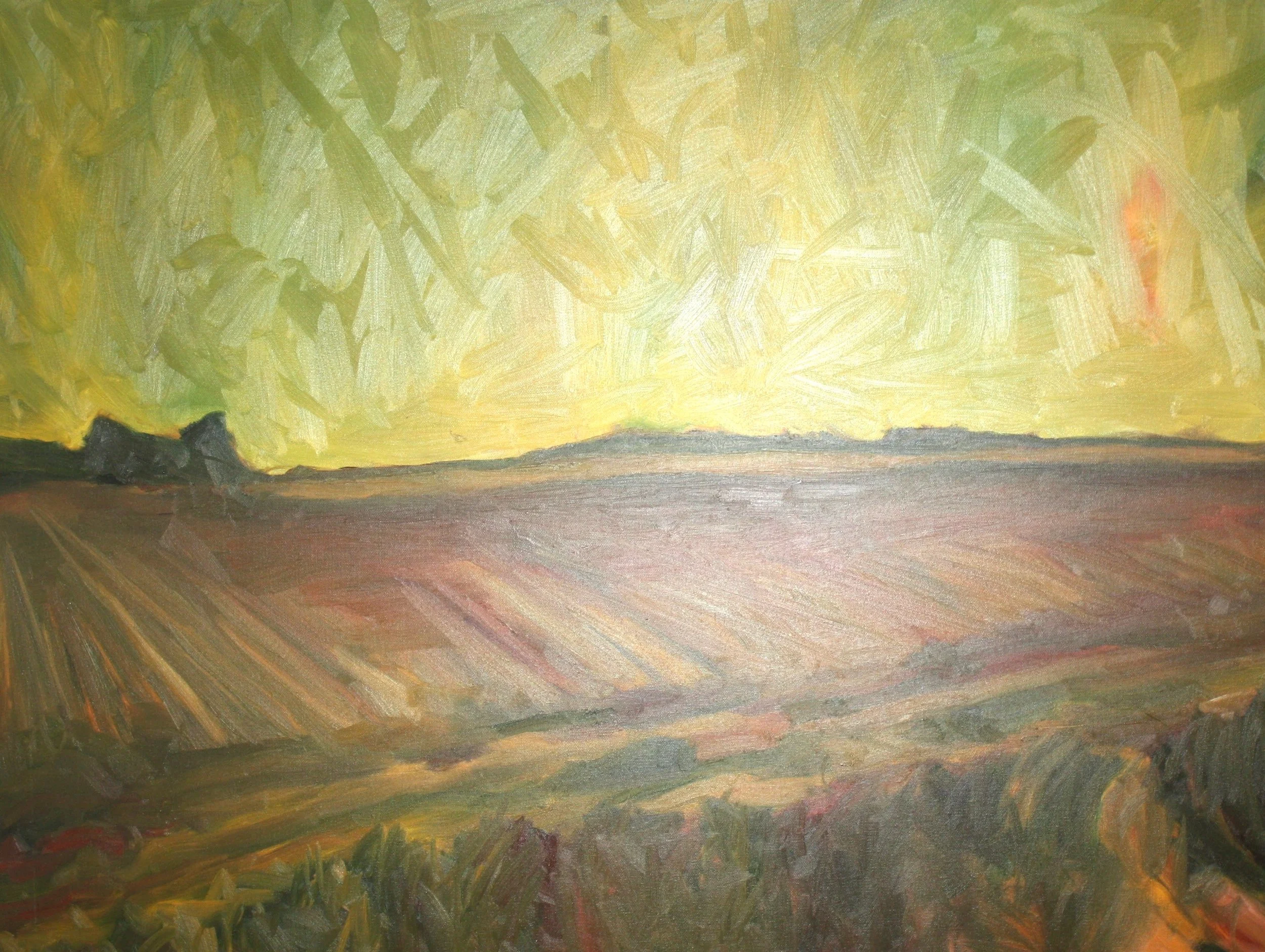 South Georgia Early Spring