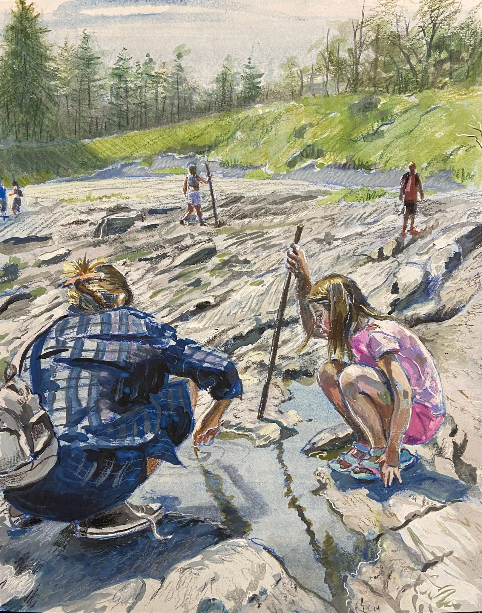 tidepools.jpg