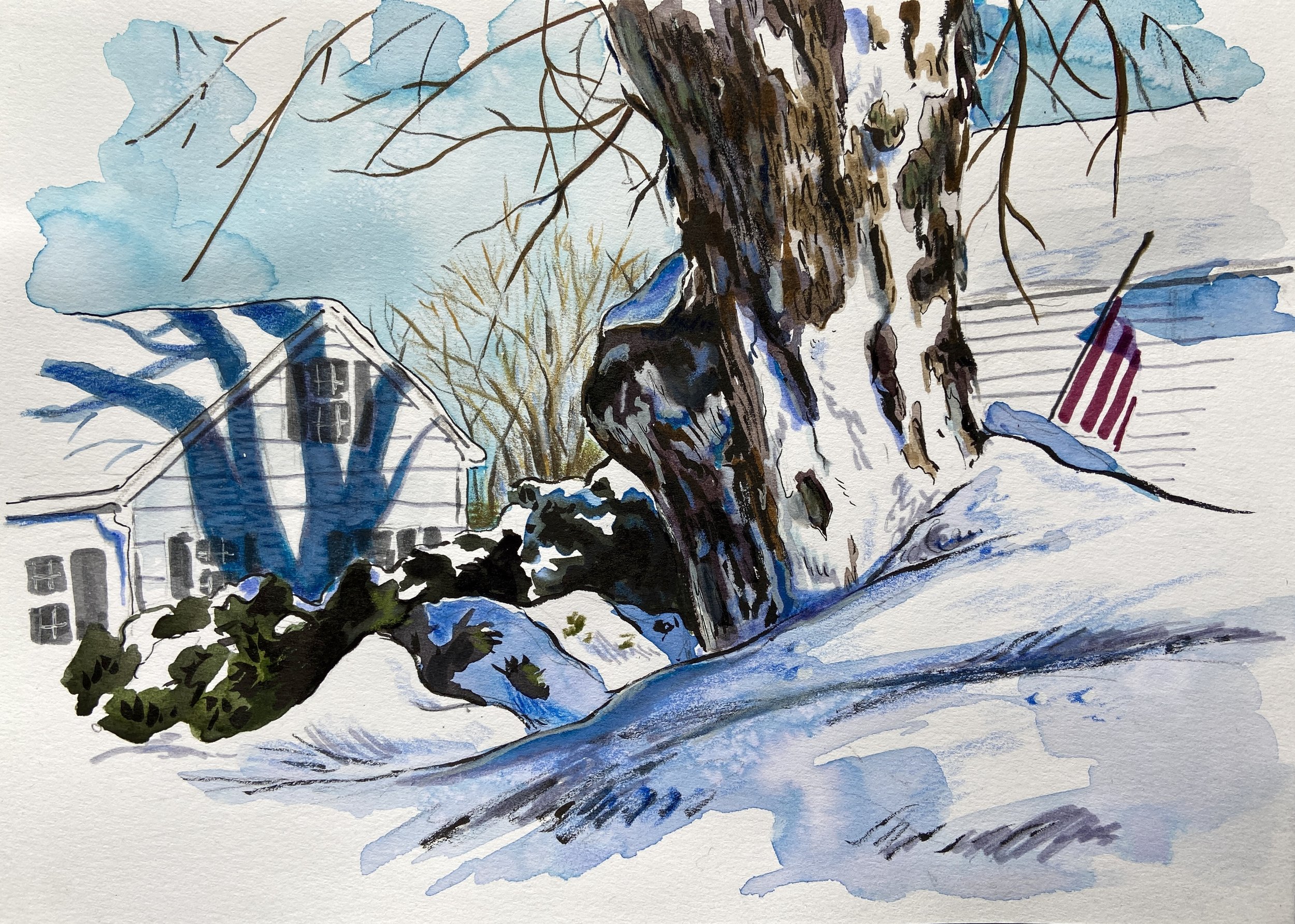 Great Snowy Tree on Hillview, watercolor, colored pencil and ink on paper, 8"x11"