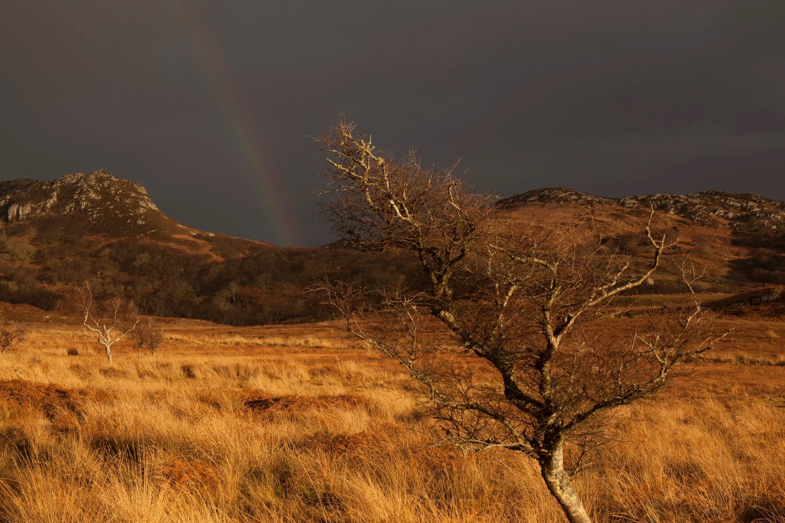 Landscape 2.jpg