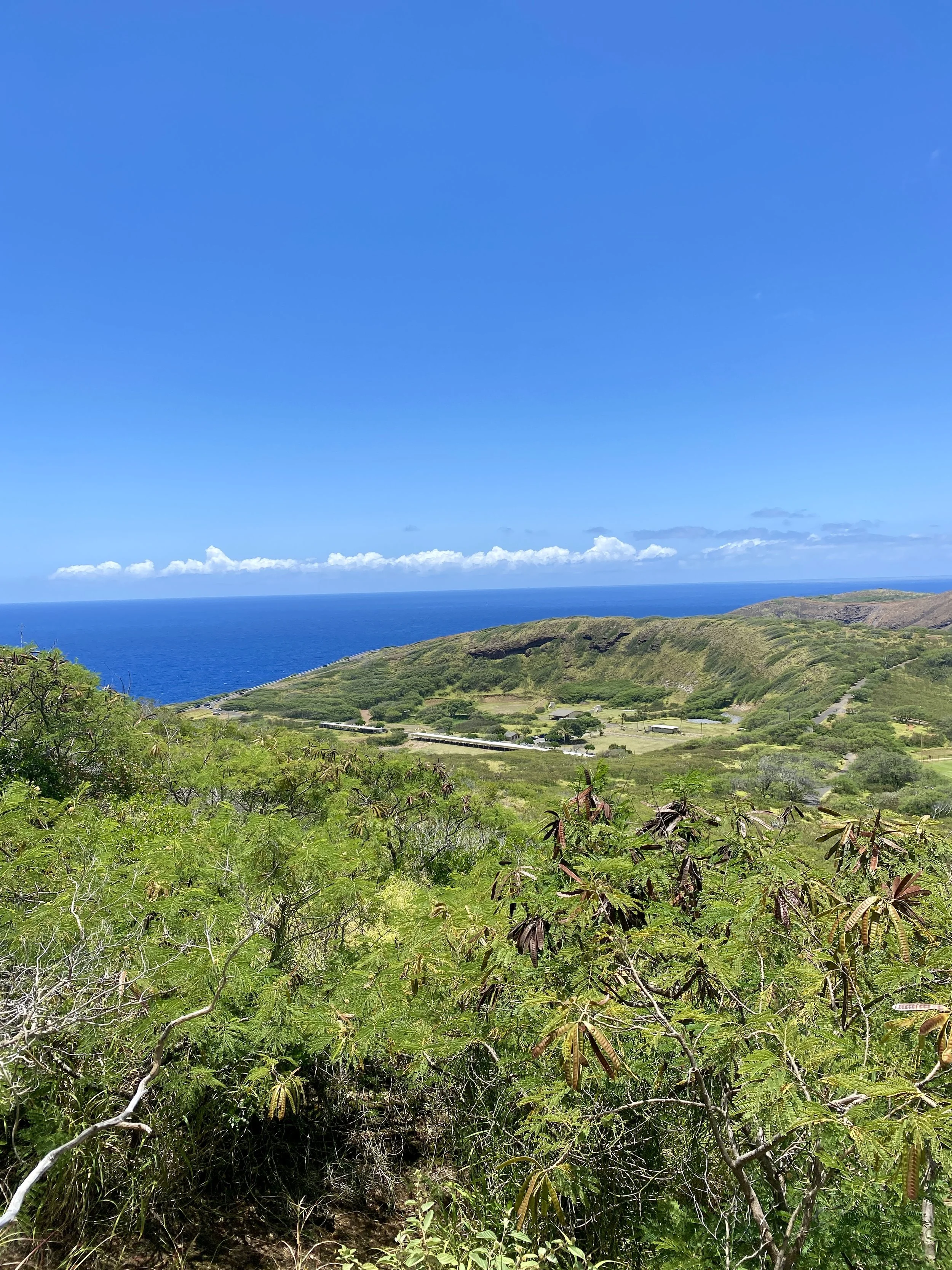 Scenic landscape featuring lush green vegetation in the foreground, rolling hills, and a clear blue sky with fluffy clouds above the ocean.