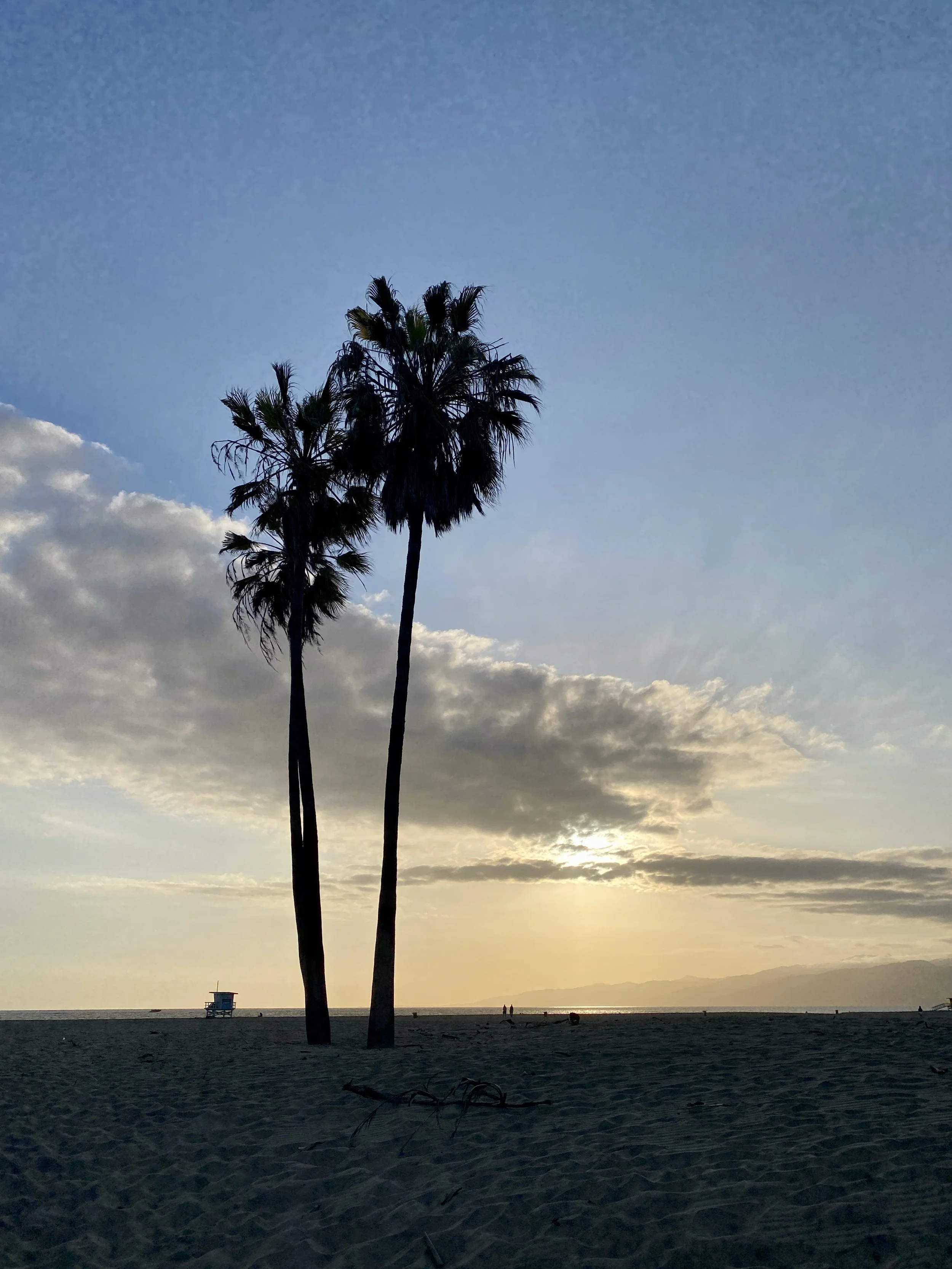 Silhouette of two palm trees on a beach at sunset with cloudy sky.