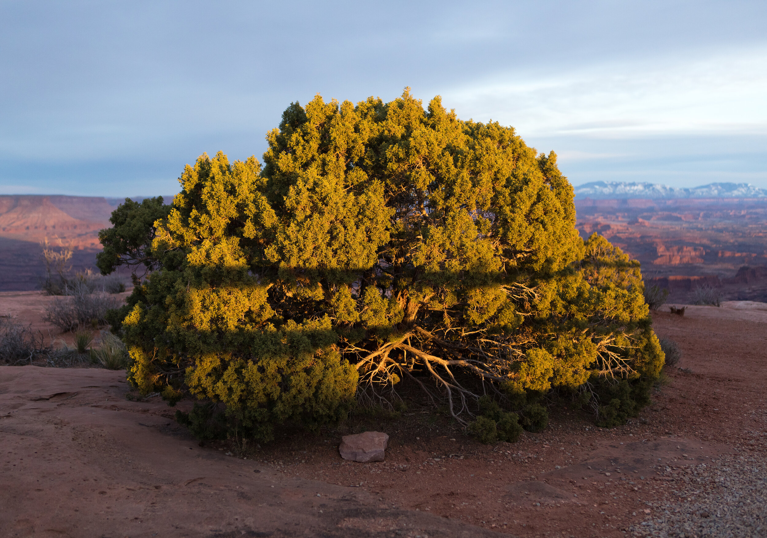 Utah