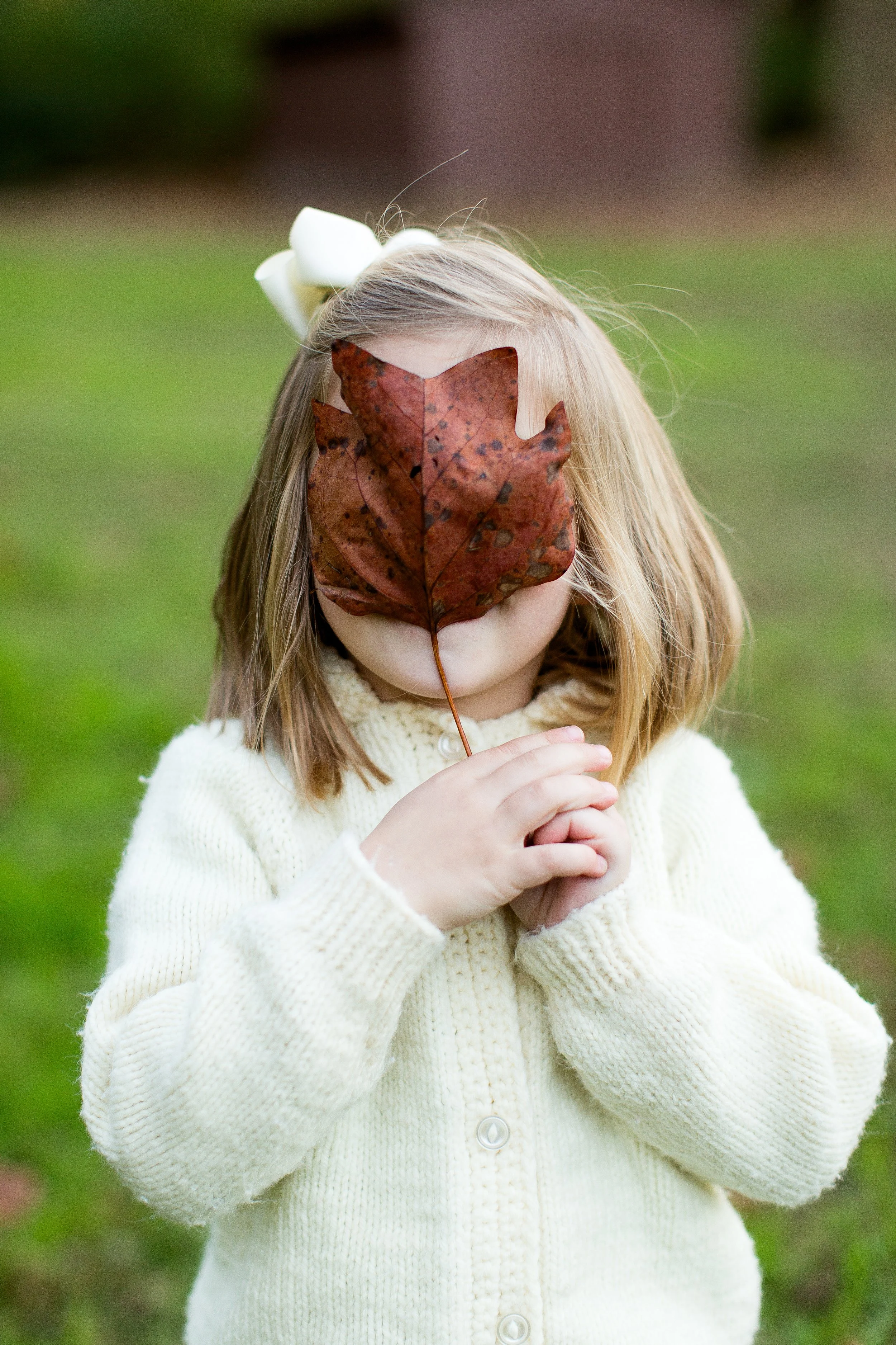 Copyright Stephen Jerkins Photography.jpg