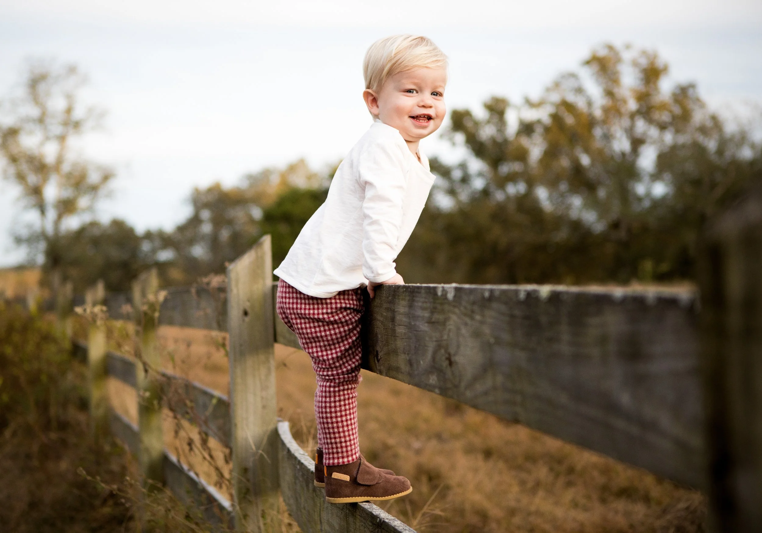 COPYRIGHT STEPHEN JERKINS 2026.jpg