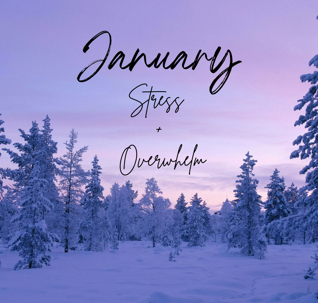 Snow-covered trees in a winter landscape at dusk with purple and pink sky and text overlay reading 'January Stress + Overwhelm'.