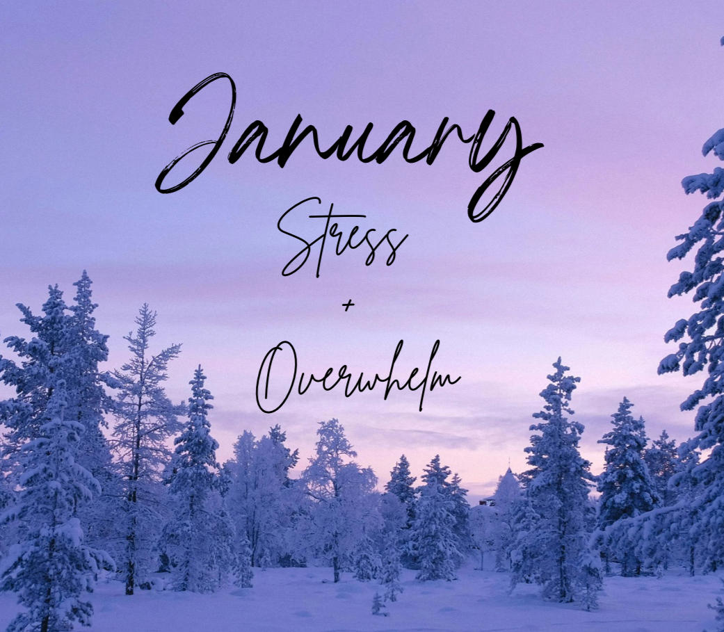 Snow-covered trees in a forest with a pink and purple sky at sunrise