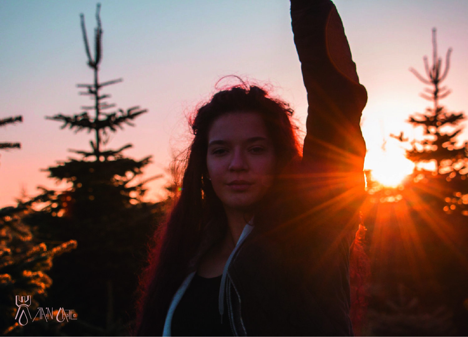 morning sun 2.jpg