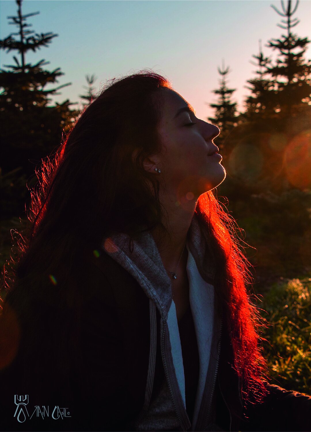 morning sun 4.jpg