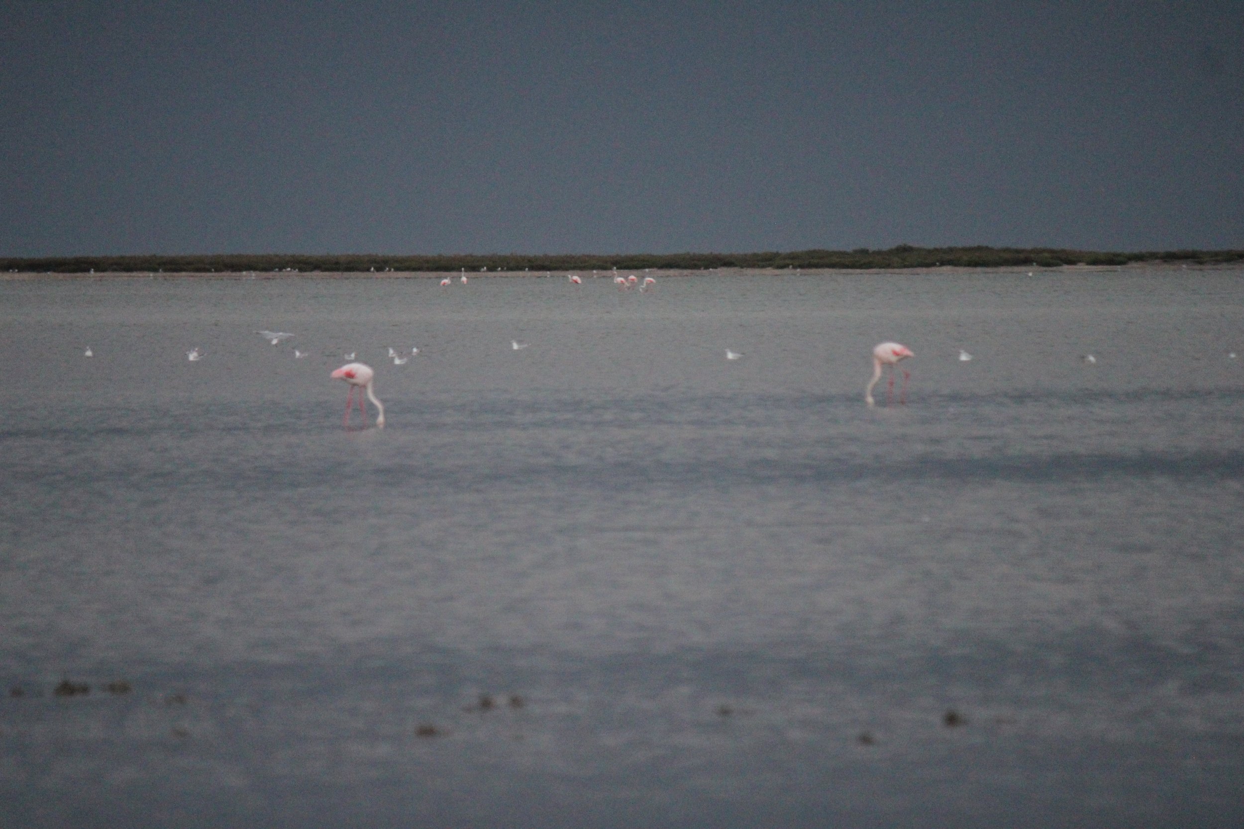  Laura Hinton, “Wetlands Under Storm,” photos 