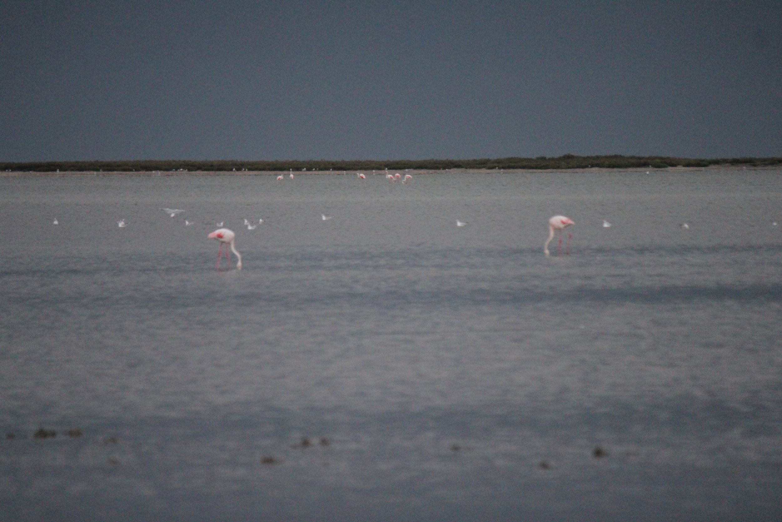 Laura Hinton, “Wetlands Under Storm,” photos 