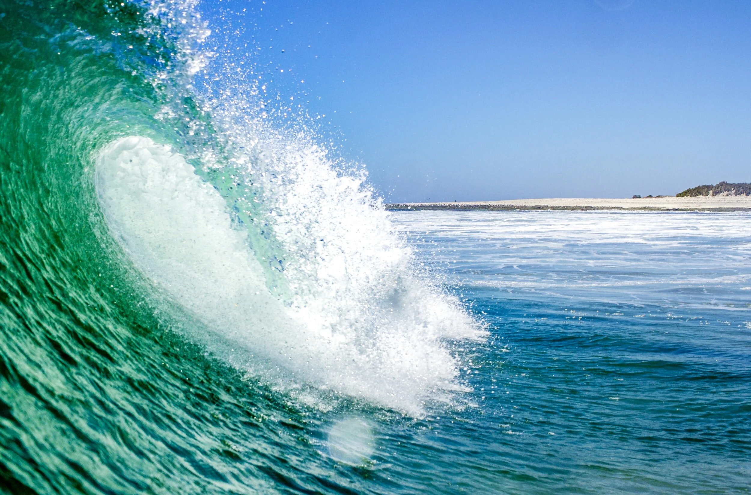 Tackling Plastic Pollution with Trivia