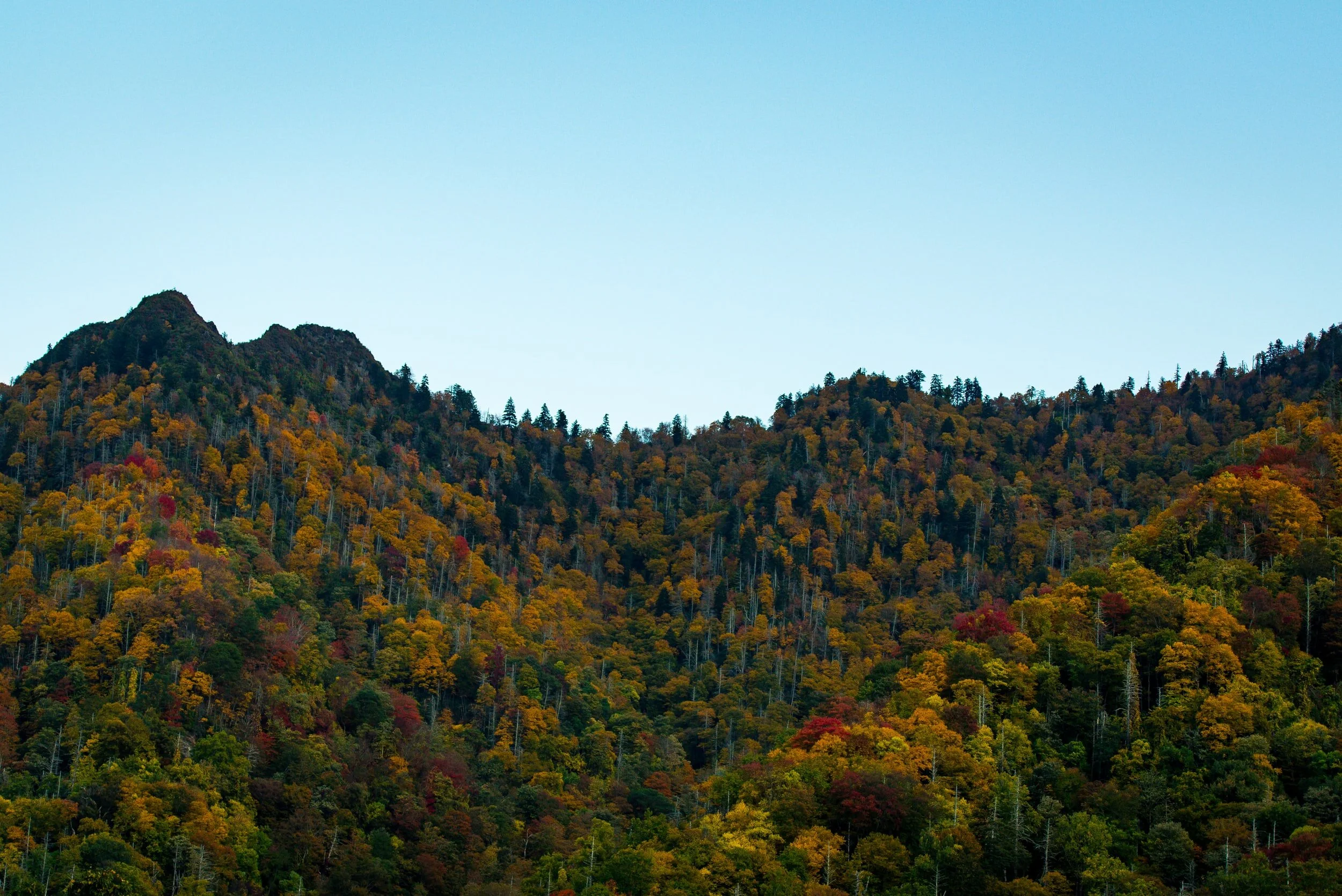 Avid hiker works to raise awareness about increasing litter in Great Smoky Mountains