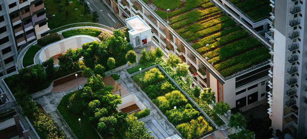 UN Secretary General Promotes Greener Cities - Let's Do It World to Receive Honor