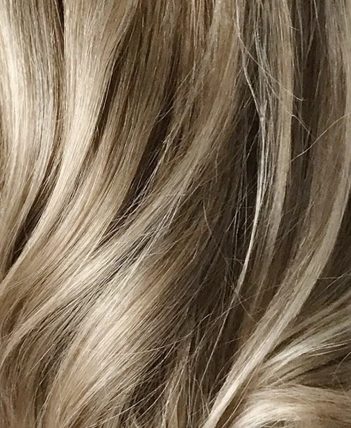 closeup|2.jpg