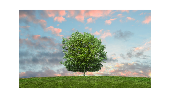Can religion save the environment?