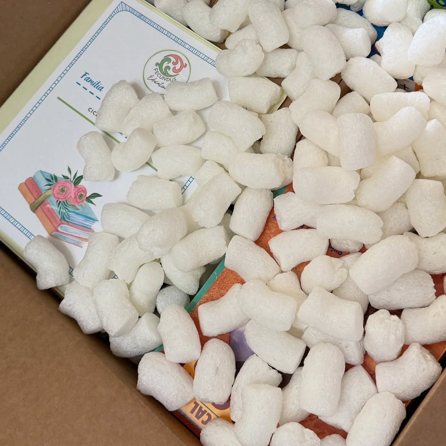 📦 Disfutando como cada a&ntilde;o nuestra temporada m&aacute;s intensa de BookBoxes. 

📚 Cada una contiene recursos seleccionados con prop&oacute;sito y mucho cari&ntilde;o para una familia en espec&iacute;fico. &iexcl;No hay dos planes de estudio 