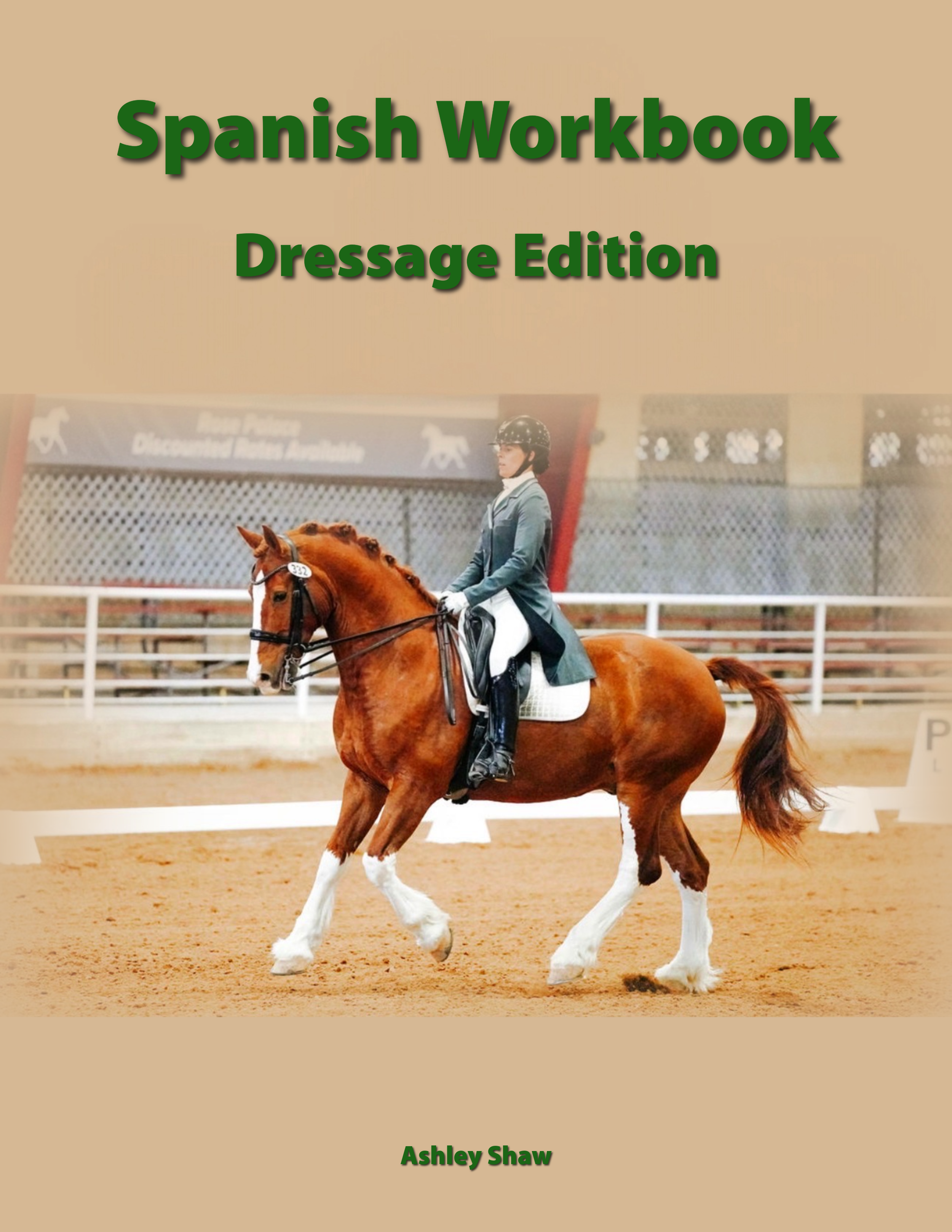 Spanish workbook