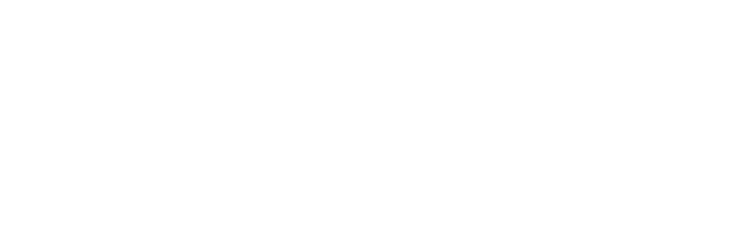 Angelica Wells Photography