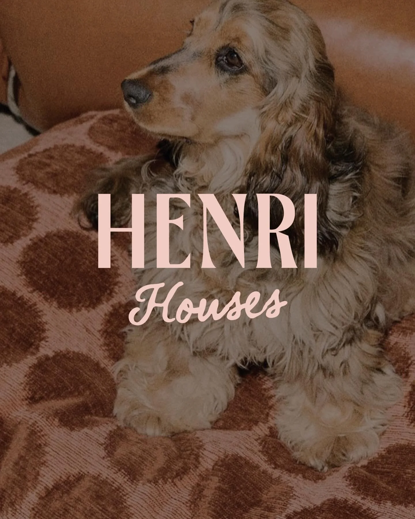 Hello Henri Houses 👋🏼 a bespoke brand identity for a meaningful project.

Henri Houses are made slowly, by hand, with intention. Not mass-produced, not rushed. 

This visual identity was designed to mirror this same philosophy, warm neutrals, stron