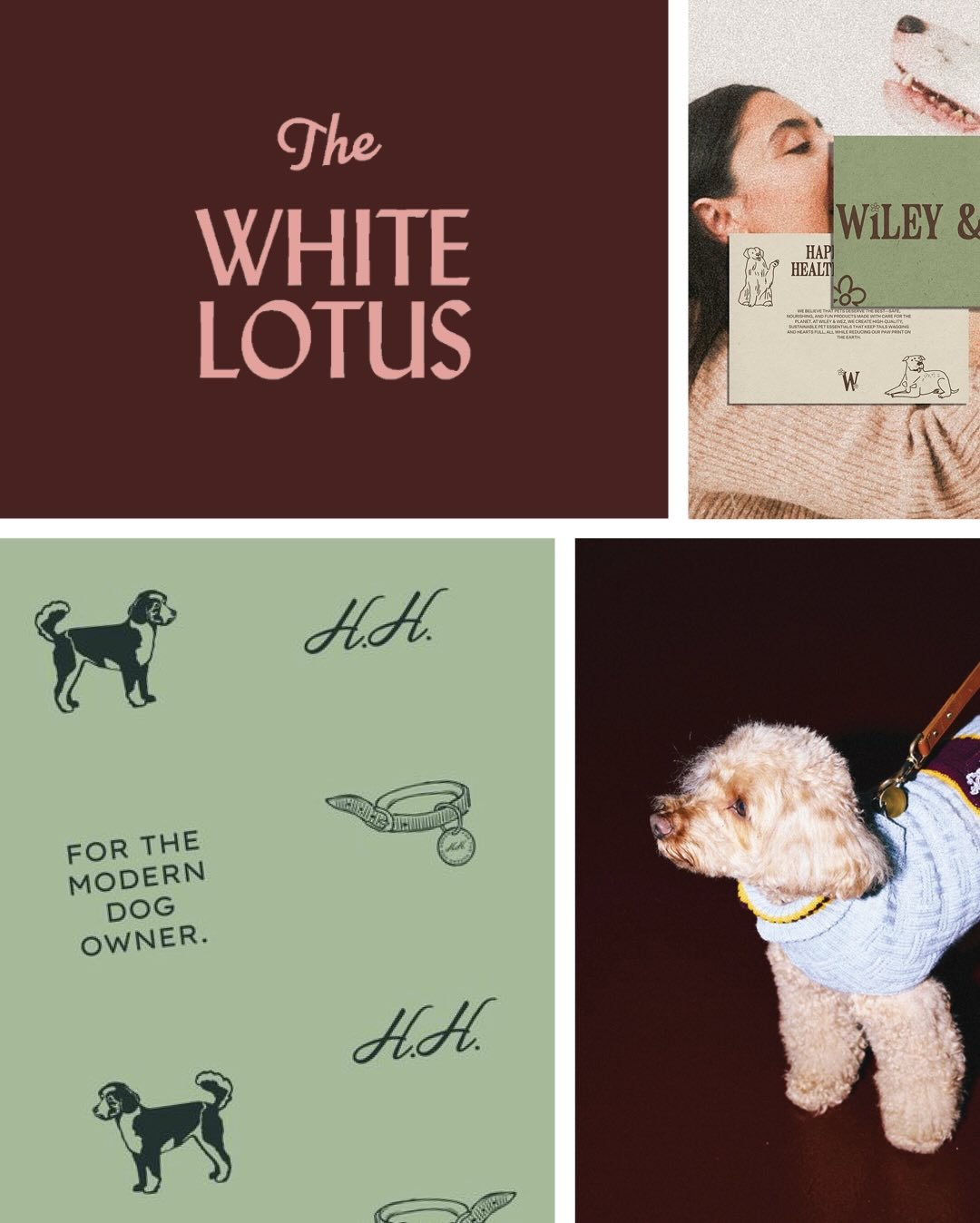 When a brand identity request comes through for a luxurious dog brand, you absolutely say yes! 🐾

Here&rsquo;s a look into the branding direction 👀 think strong typography, warm organic colours, and an understated sense of luxury