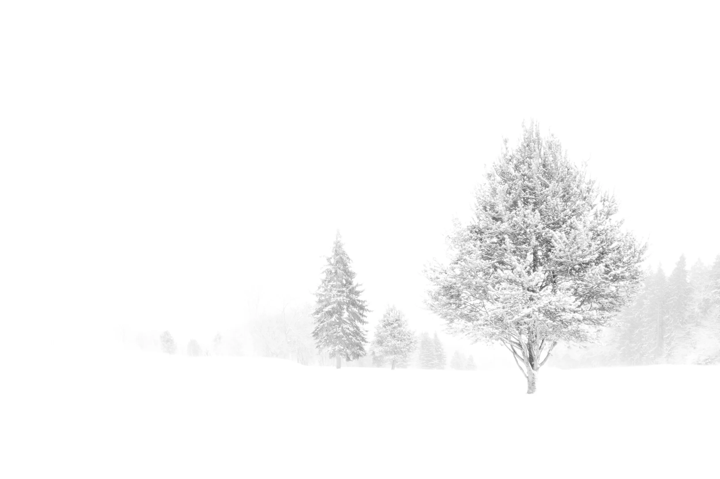  Minimalistisch und schön - auch das ist Landschaftsfotografie 