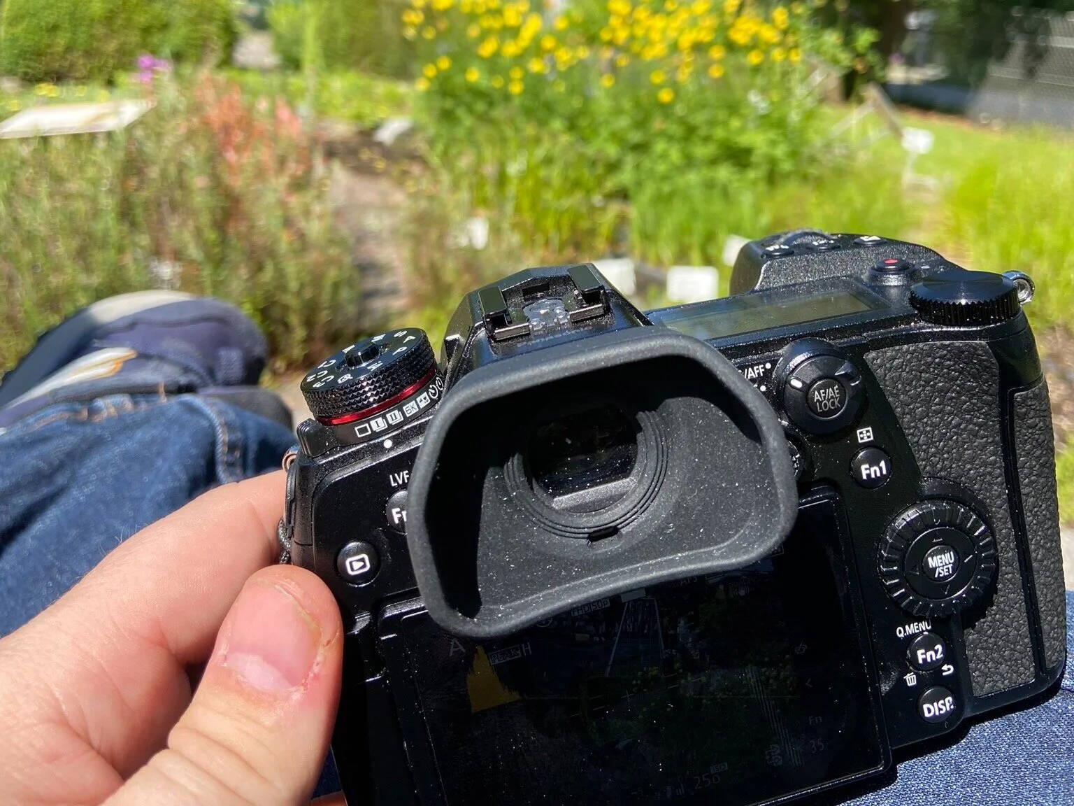  Immer dabei, immer gut - die Lumix G9 und ich waren für viele super Fotos verantwortlich. 