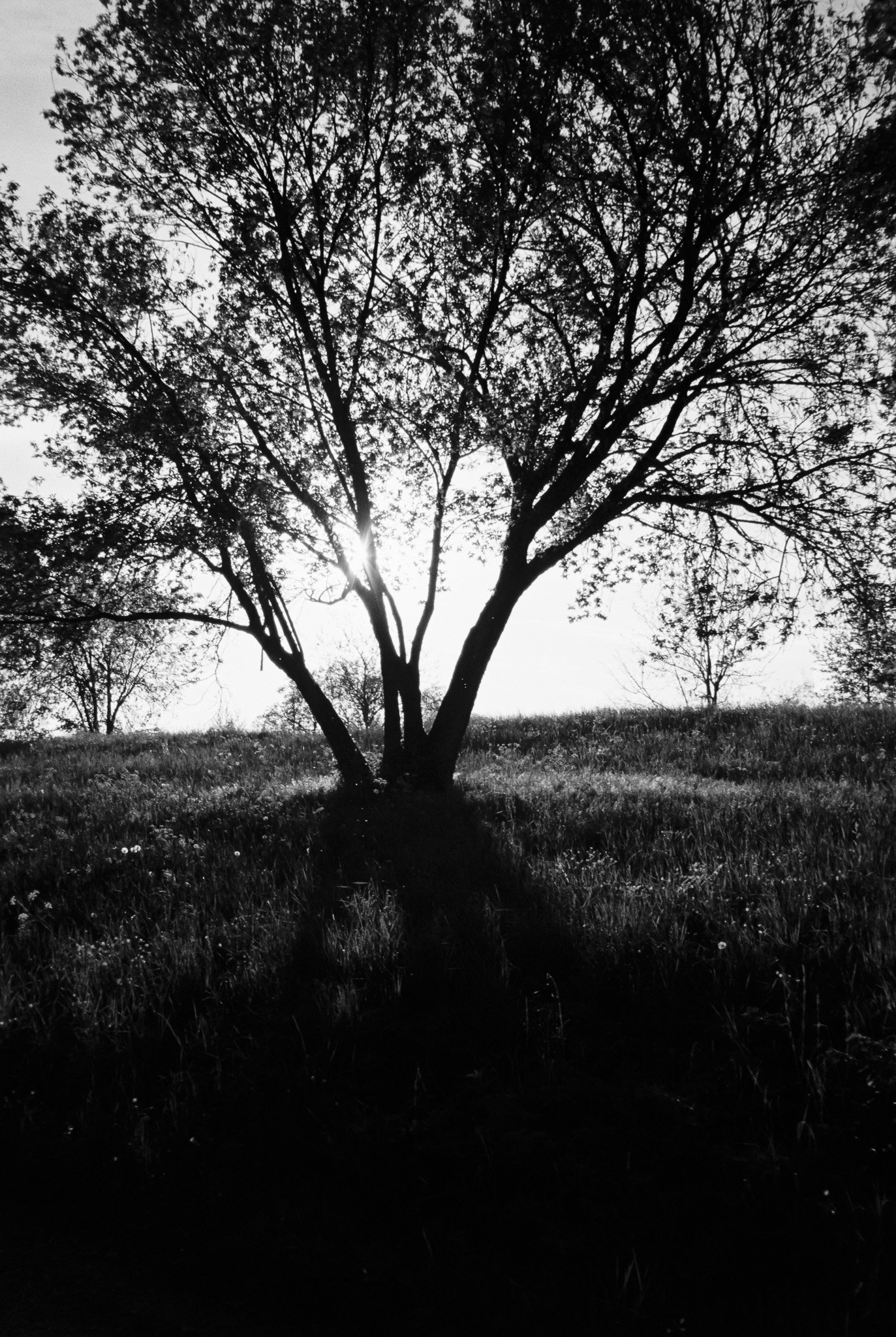 R1-07905-0026.jpeg