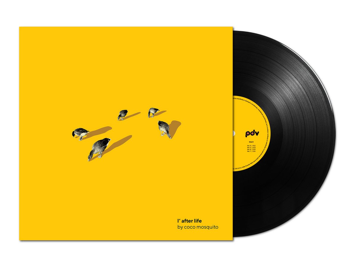 Coco Mosquito - L After Life - LP mockup A.jpeg