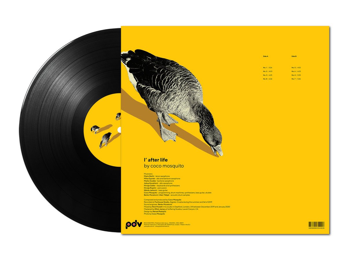 Coco Mosquito - L After Life - LP mockup B.jpeg