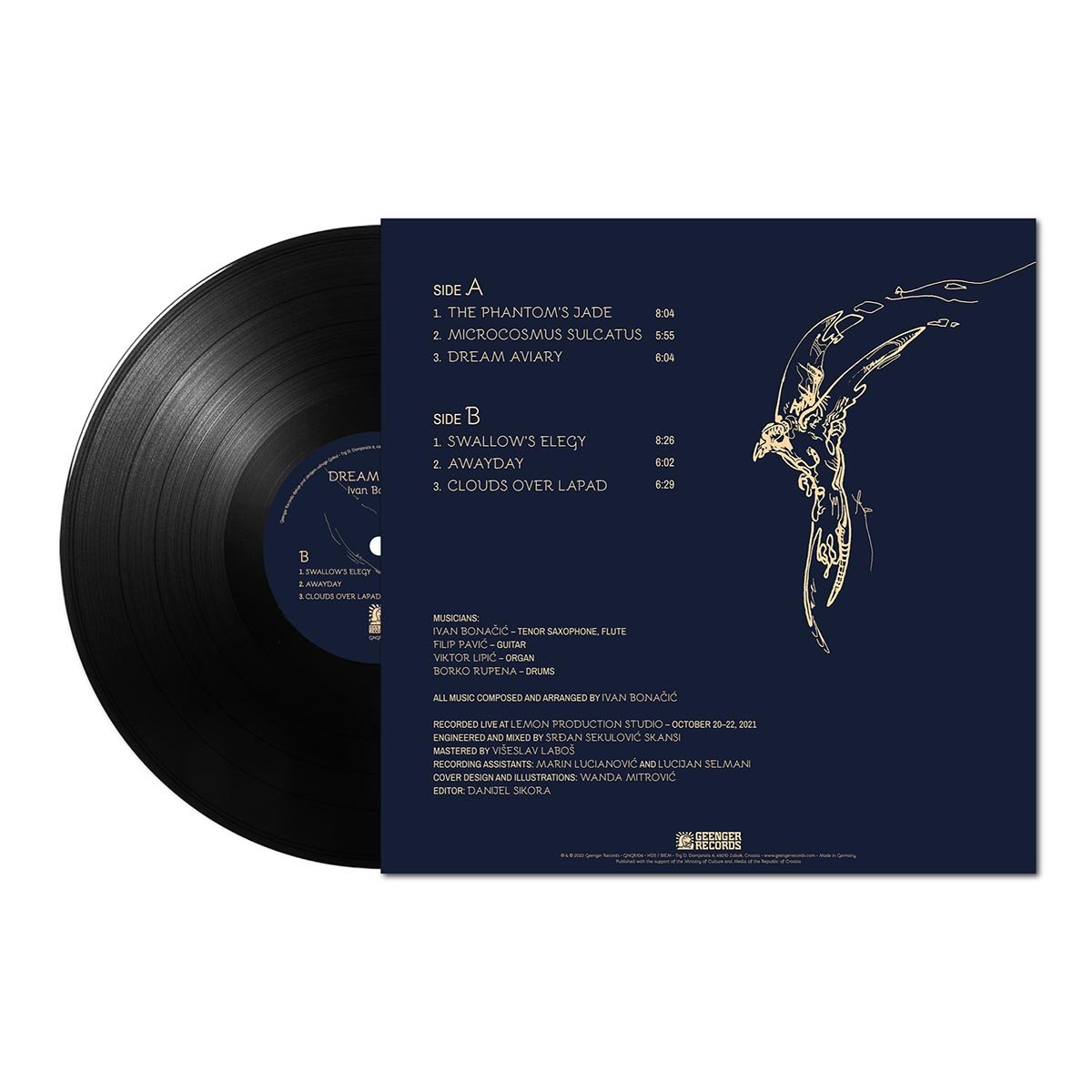 Ivan_Bonacic-Dream_Aviary-LP-mockupB.jpeg