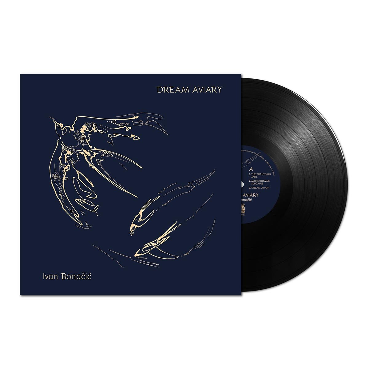 Ivan_Bonacic-Dream_Aviary-LP-mockupA.jpeg