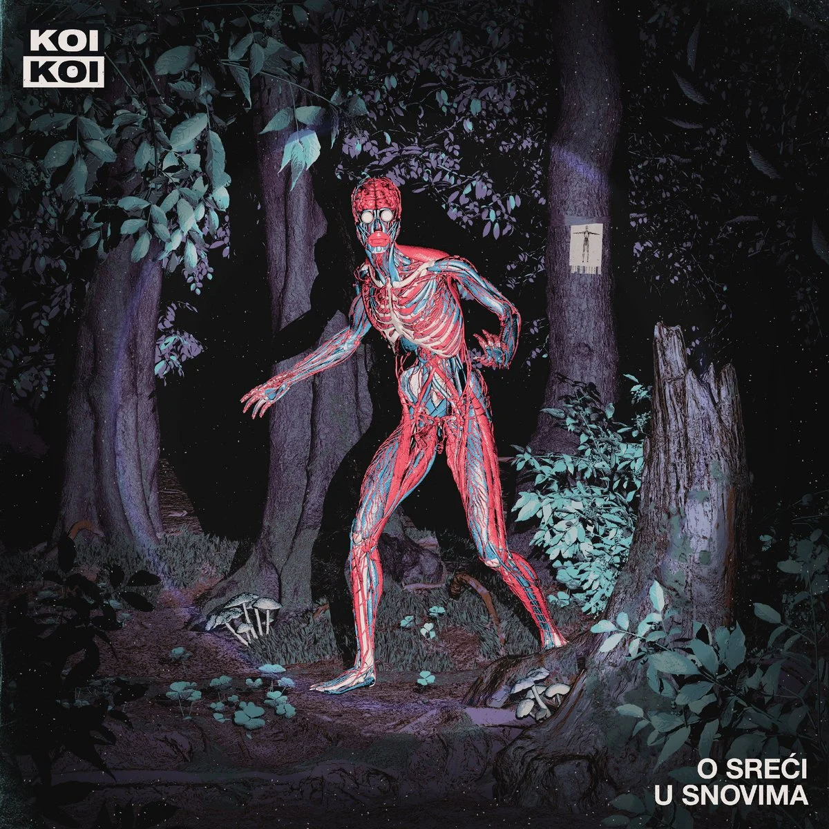 KOIKOI - O sreći u snovima - LP
