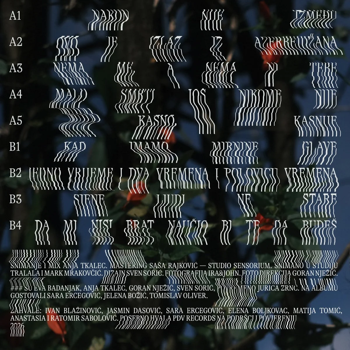 ddd-Osorno-LP-back.jpg