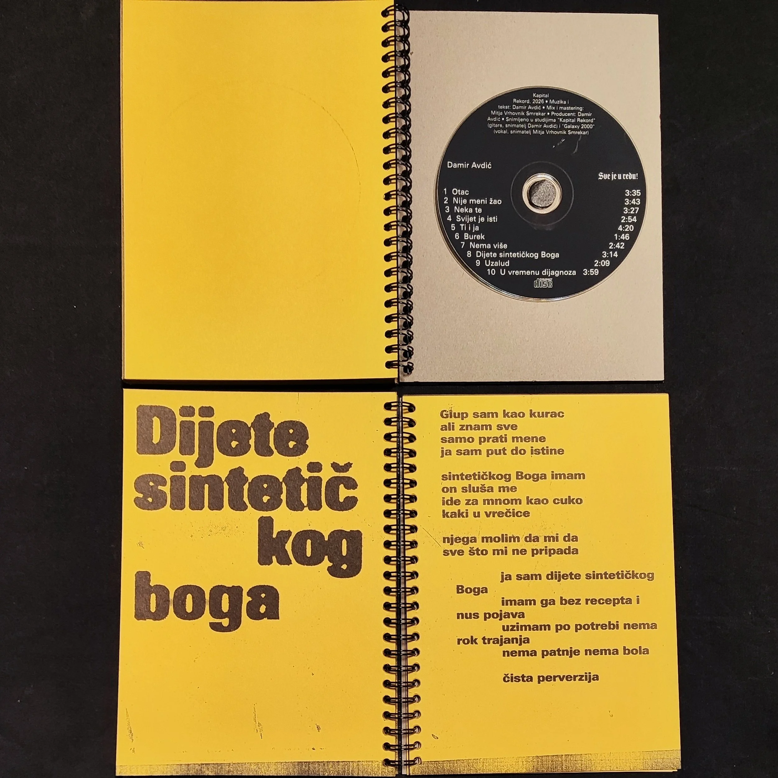 Damir Avdic - CD.jpg