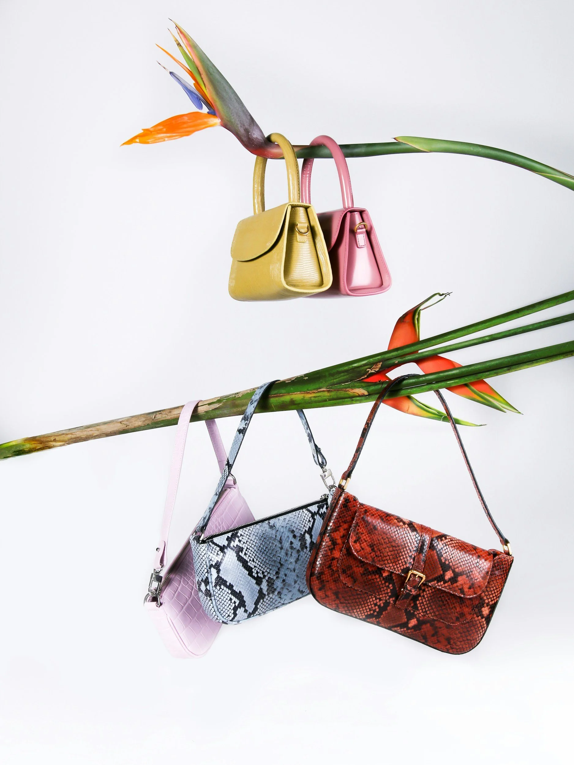 Colorful handbags hanging on tropical plant stems against a white background.