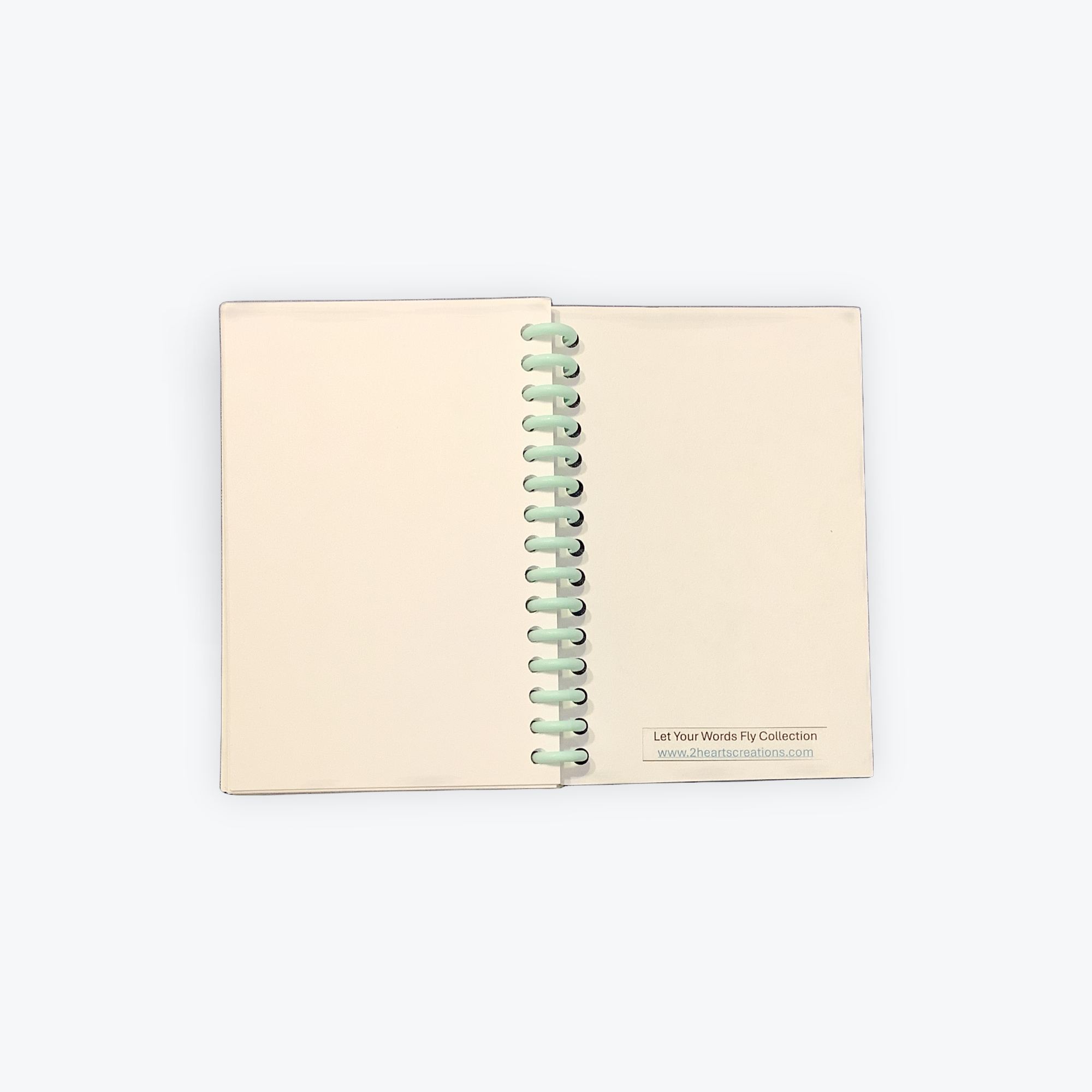 1DB53B7E-402E-42EF-A92F-E19B3D71C765.png