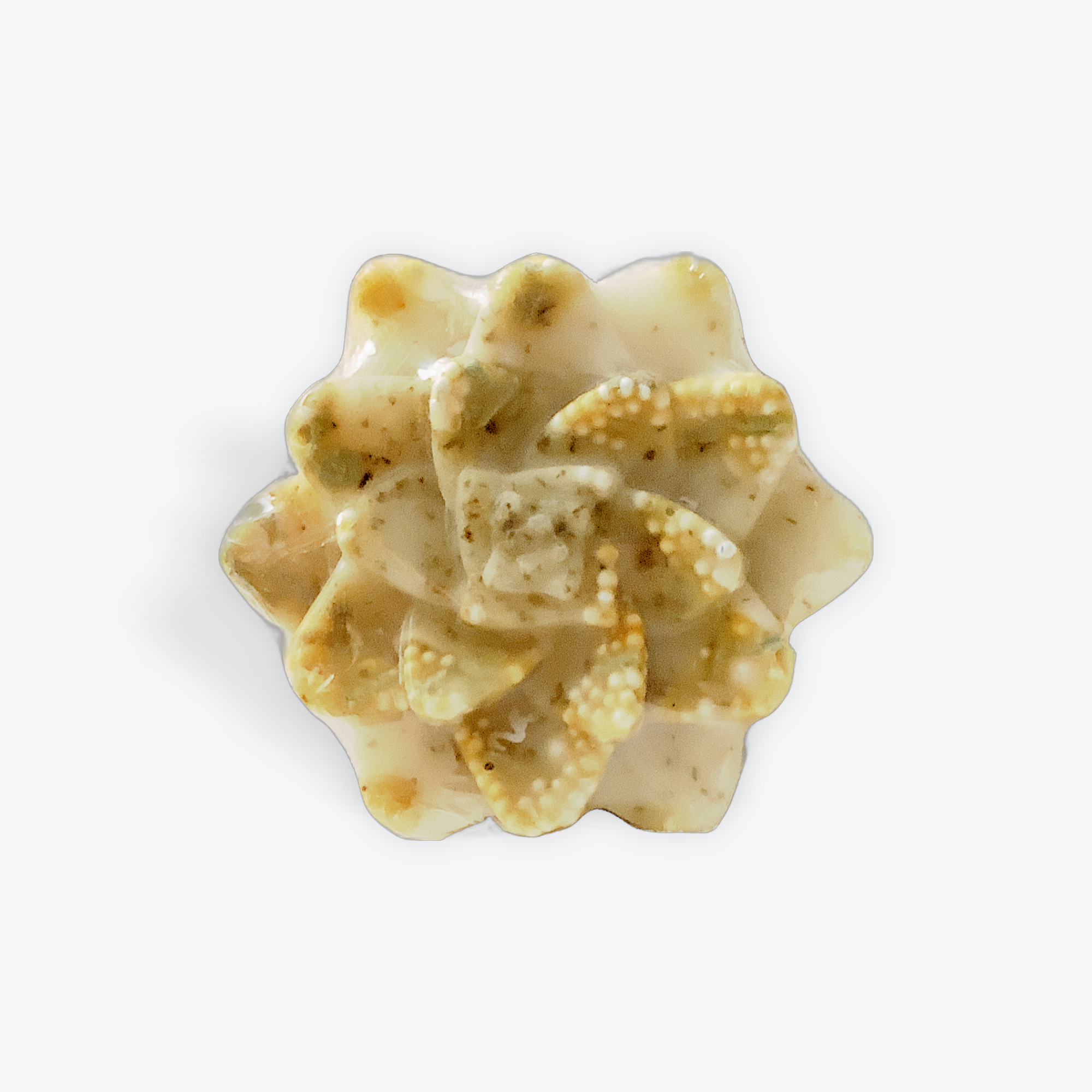 484948D5-D2C5-4C0A-A3EC-D3F8D9858C71.png