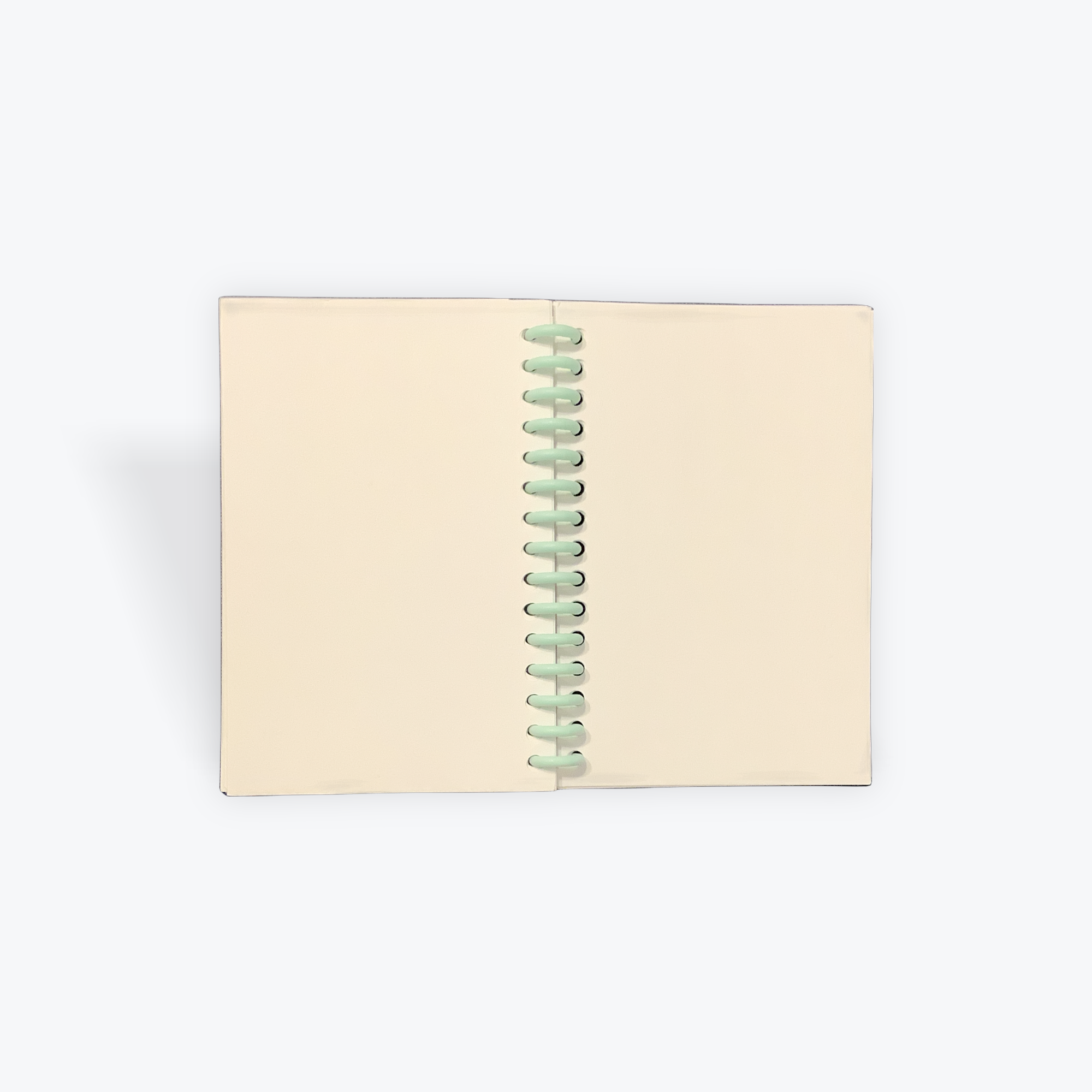 4311B77D-6B75-4763-937A-371F7EE5B099.png