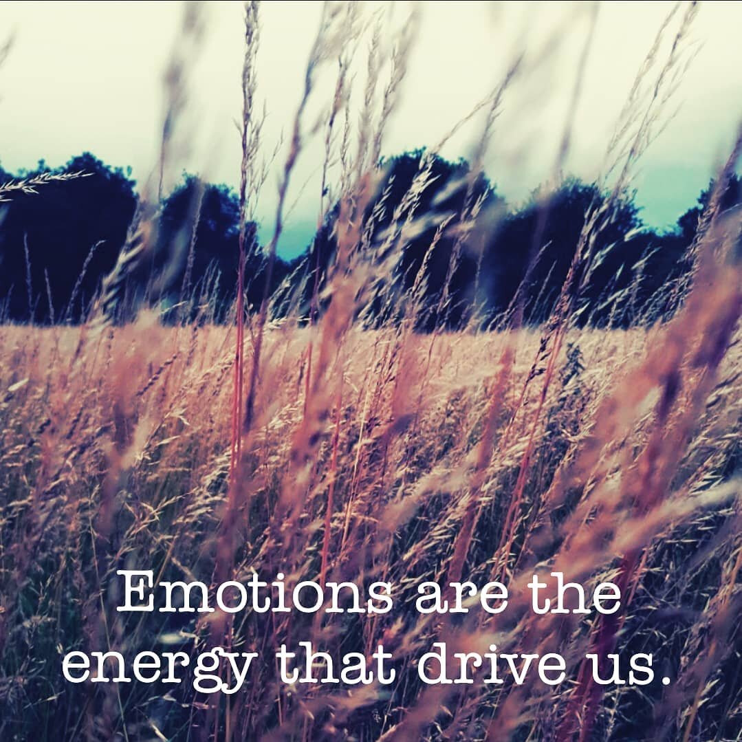 Difficult emotions aren't just something to get rid of. Stuff down. Eliminate. 

Emotions are our lifeblood, and we need all of them- even the ones we wish we didn't have to deal with!

Especially when it comes to climate change.

It's not all just a