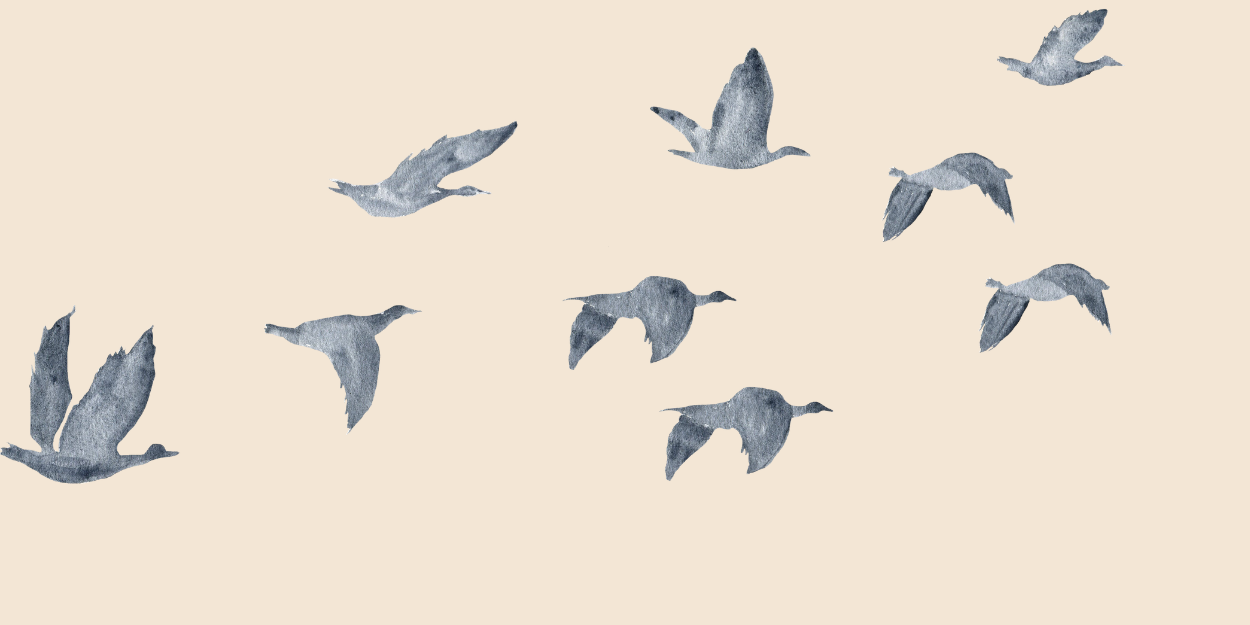 Group of watercolor-painted birds flying against a beige background.