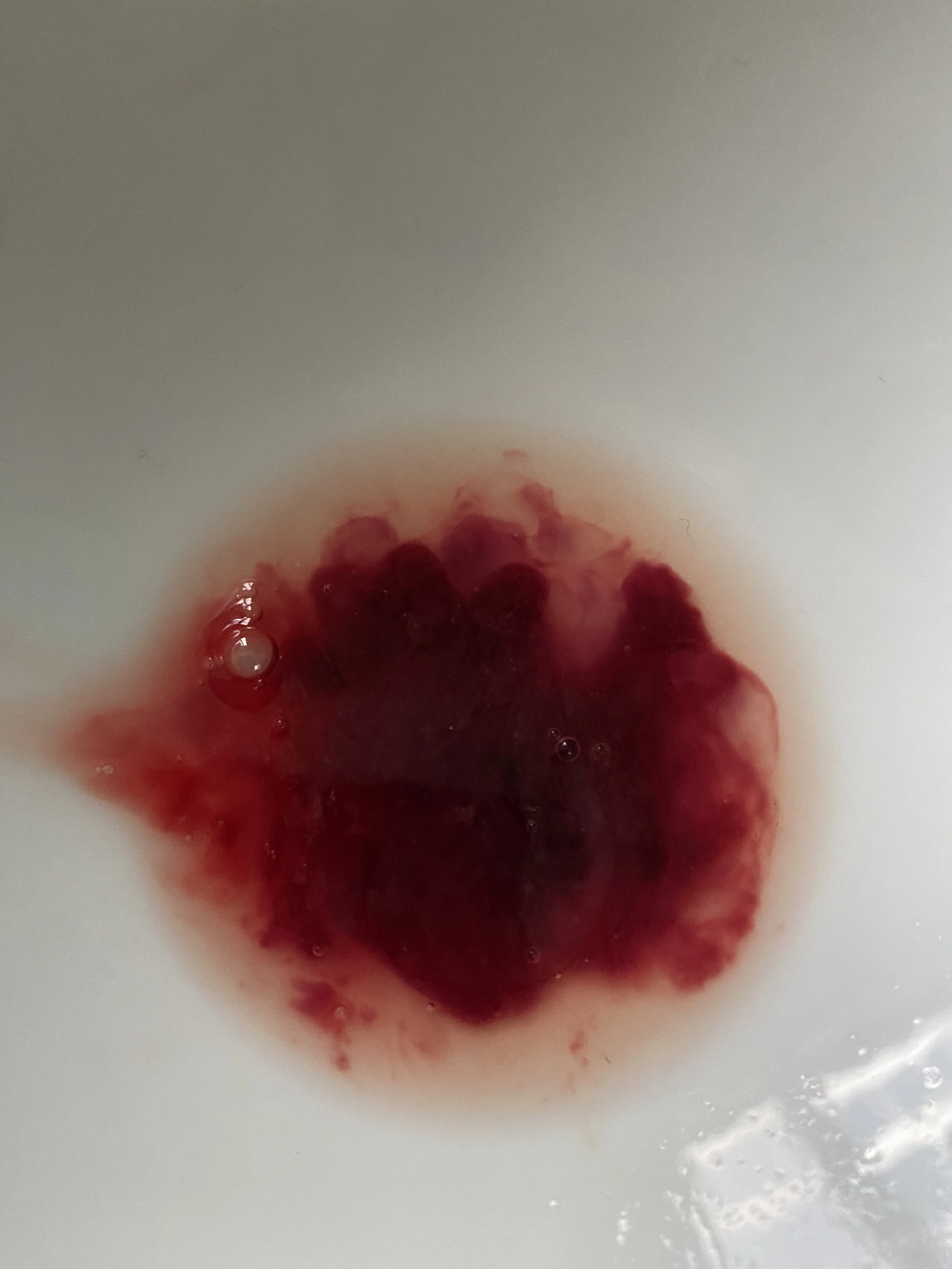 The Underground Blood Society... of Reverent Men by Jonathan Ehrlich