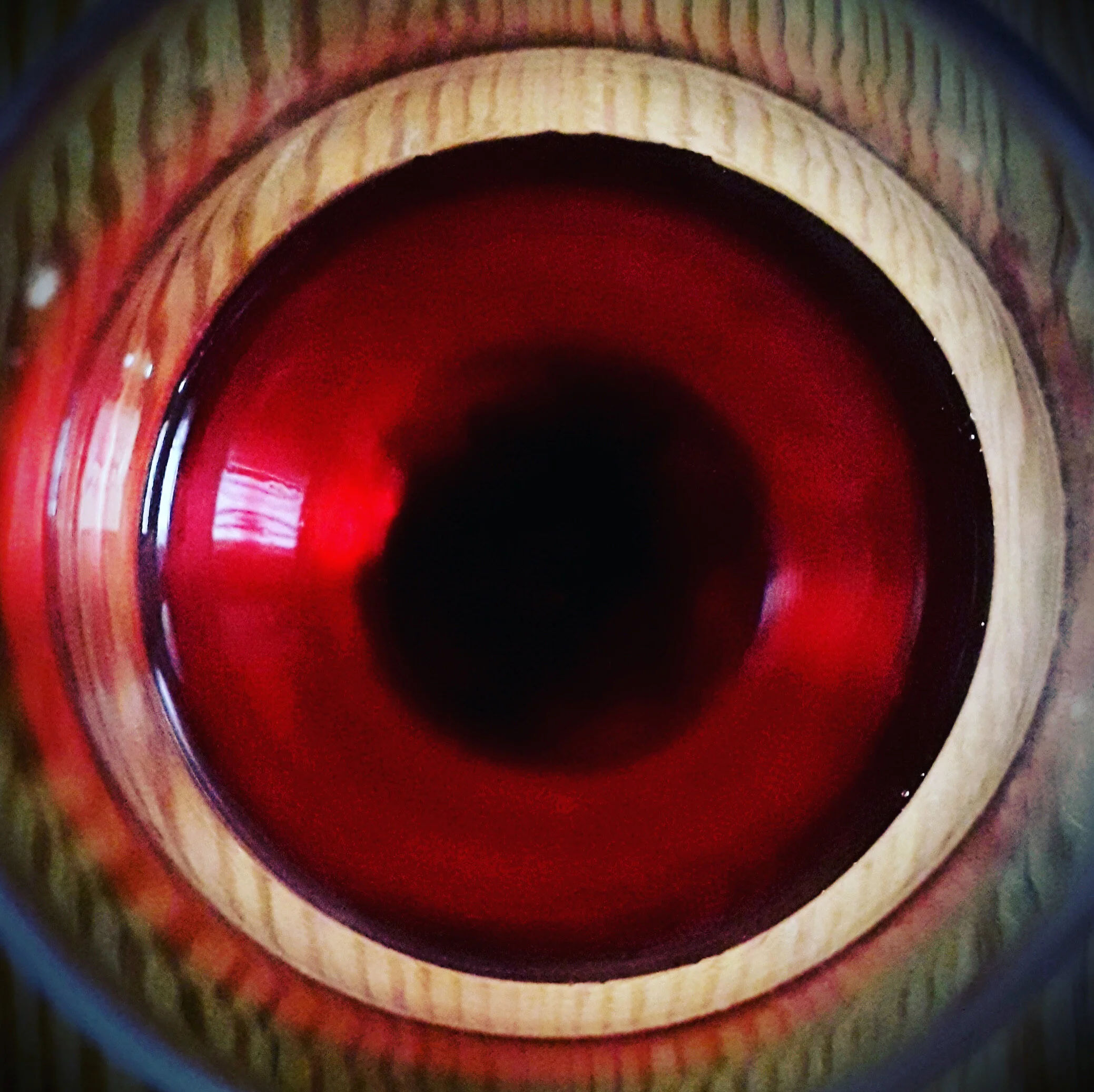 Sometimes A Wild Goddess... Terhi and Taki'h