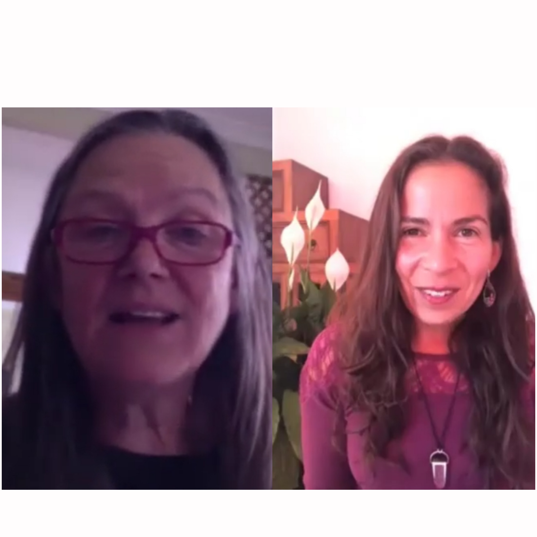 Interview with Jane Hardwicke Collings