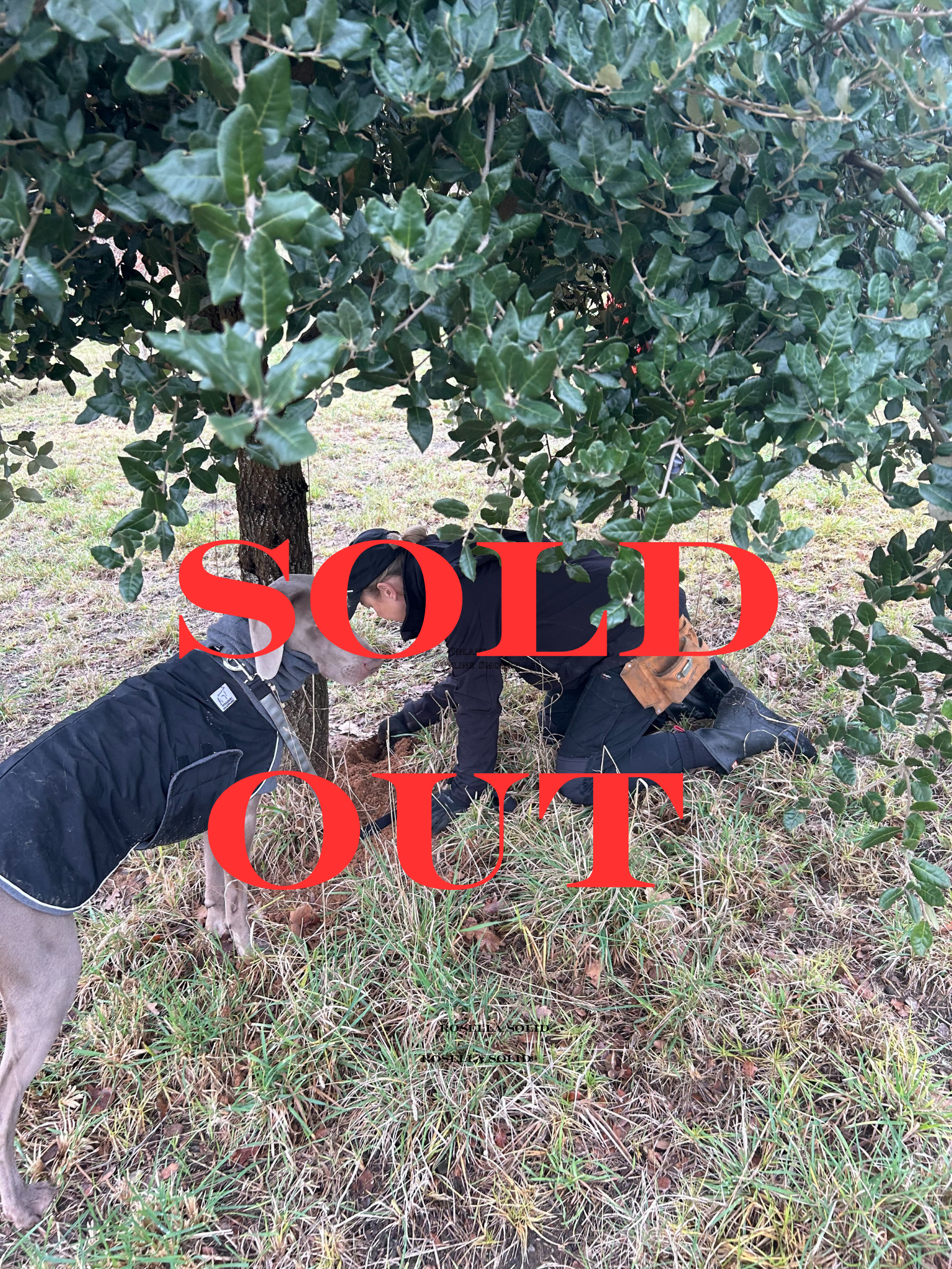 SOLD OUT!.png