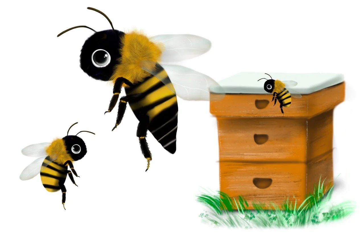 honey bee.jpeg