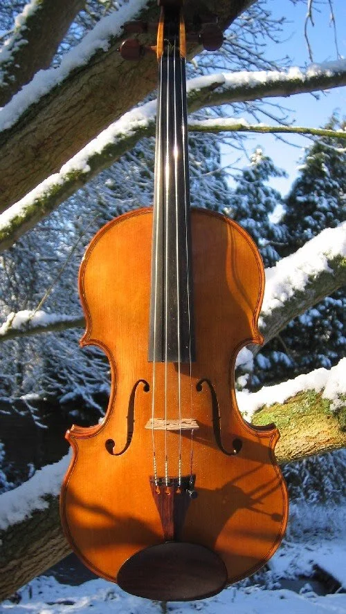 homesnowviolin2.jpg
