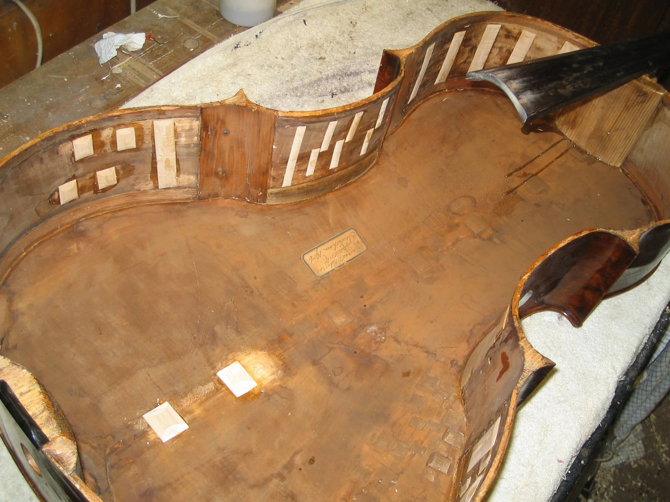 cello 04022011 001.jpg